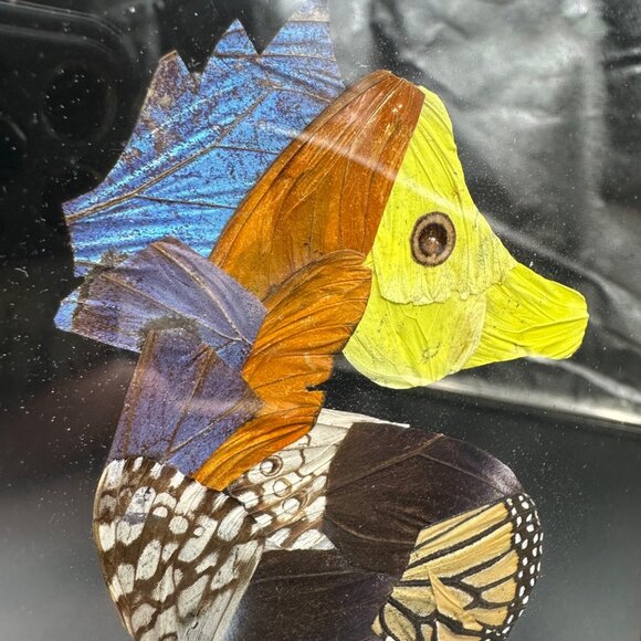 Seahorse Butterfly Wing Art Wooden Frame Belize Nautical Ocean Beach Decor - Picture 4 of 10